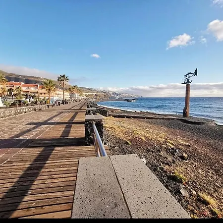 Eli Tenerife *