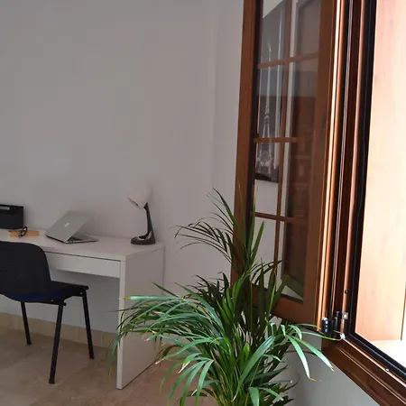 Eli Tenerife * קנדלריה